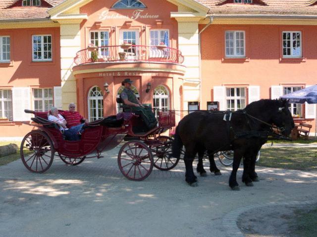 Altes Gutshaus-Federow Hotel Bagian luar foto